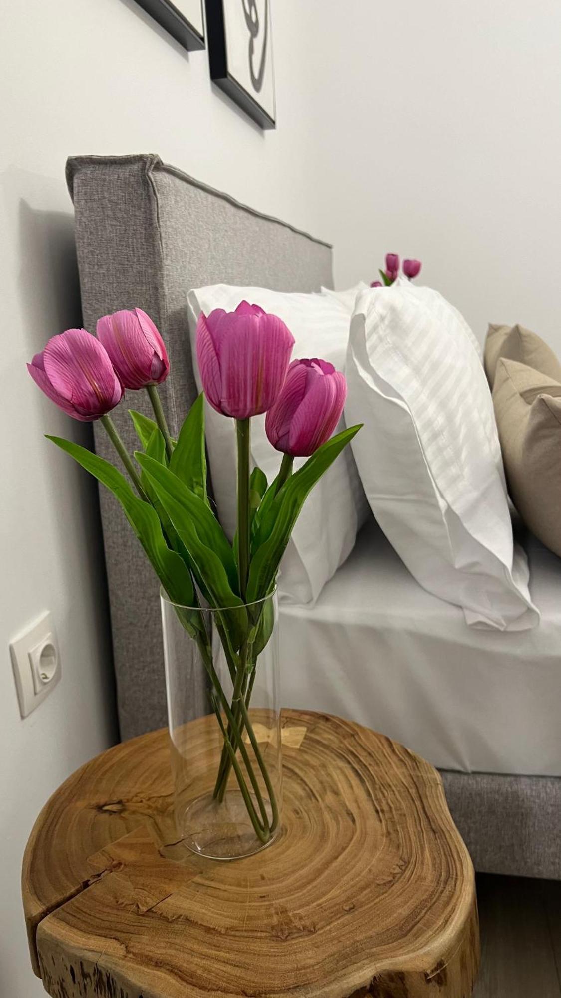 Sias Apartment Alexandroupolis Buitenkant foto